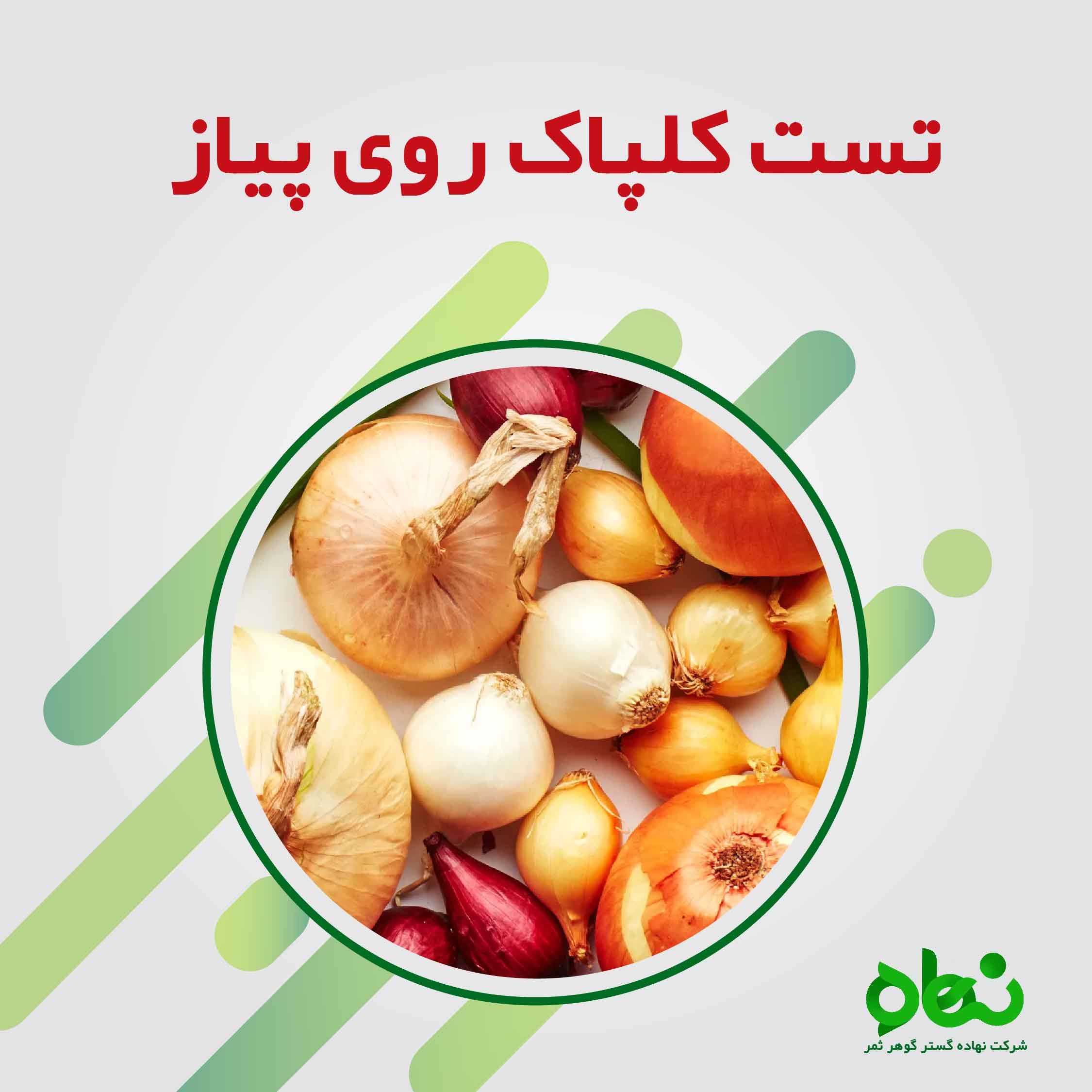 تست کلپاک روی پیاز